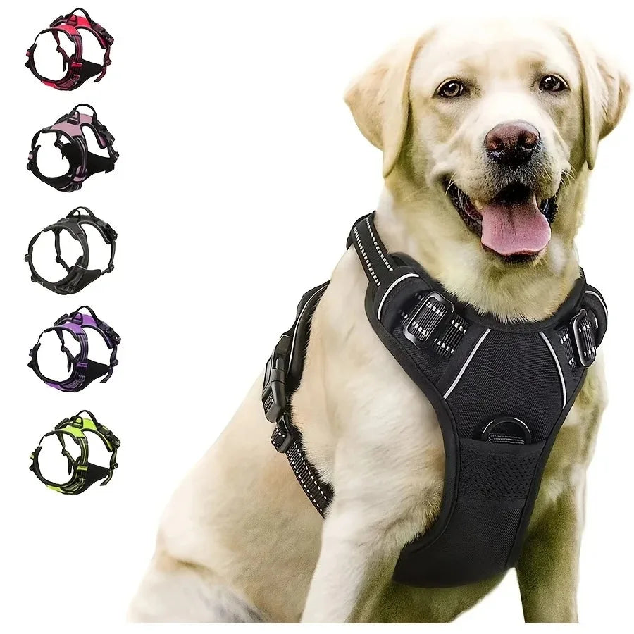 Leather Dog Collar & Harness Set – Adjustable for Small & Medium Dogs
