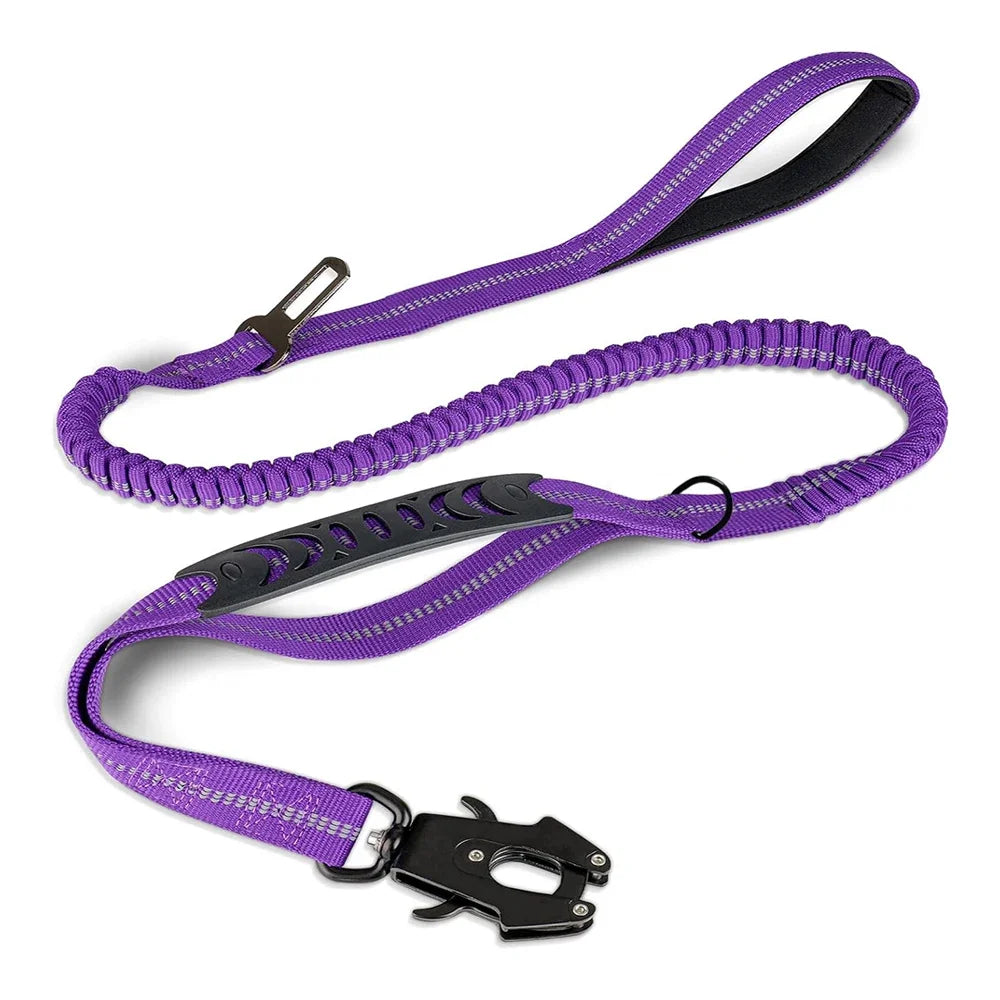 Shock-Absorbing Dog Leash – Heavy Duty No-Pull with Car Clip