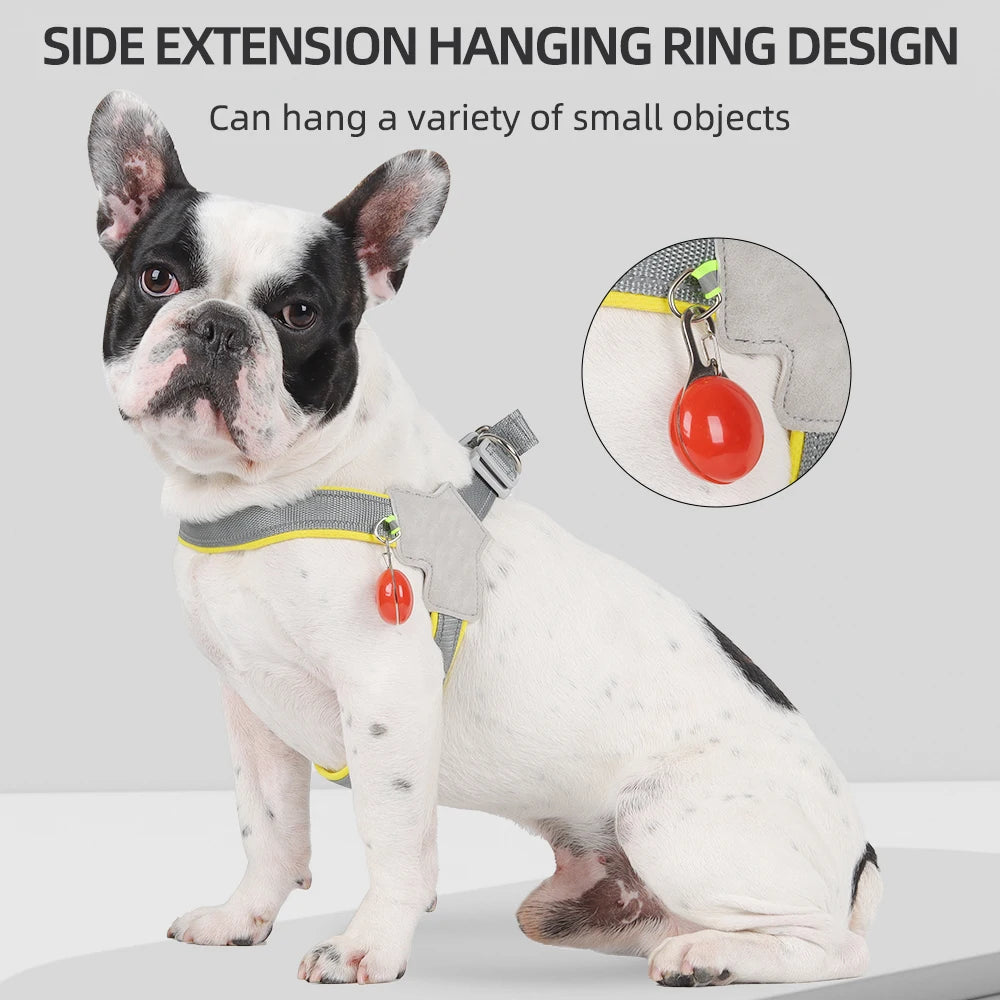 Reflective No-Pull Pet Harness – Small Dog & Cat Vest Strap