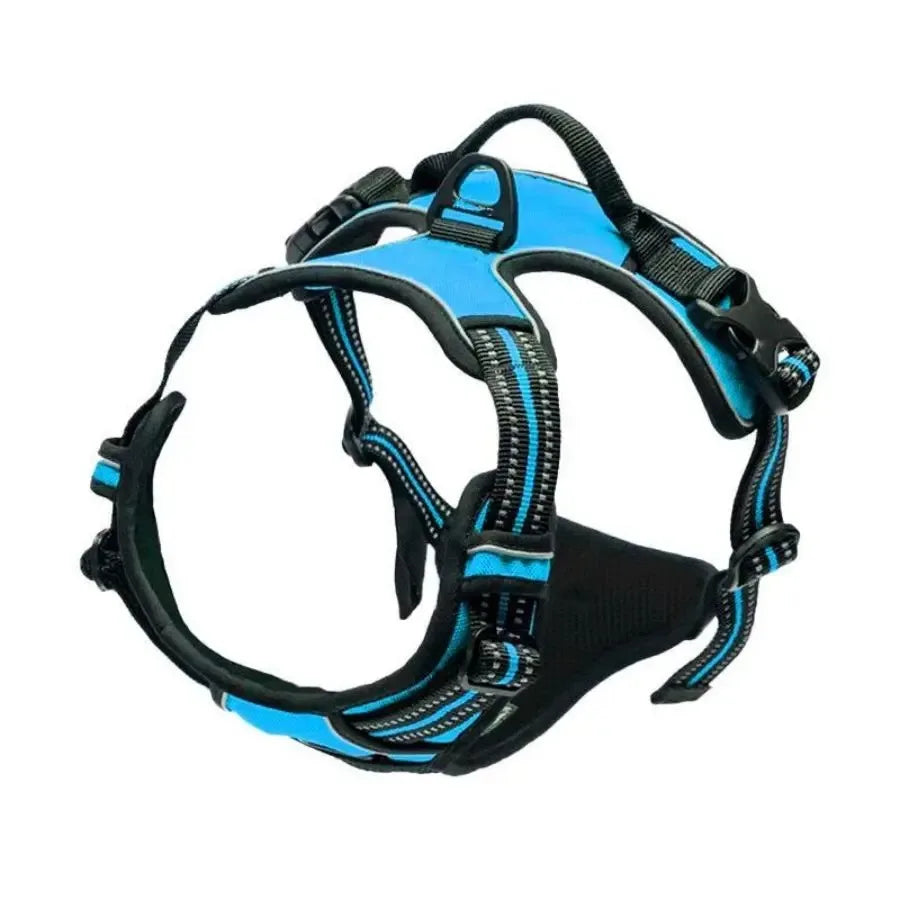 Leather Dog Collar & Harness Set – Adjustable for Small & Medium Dogs