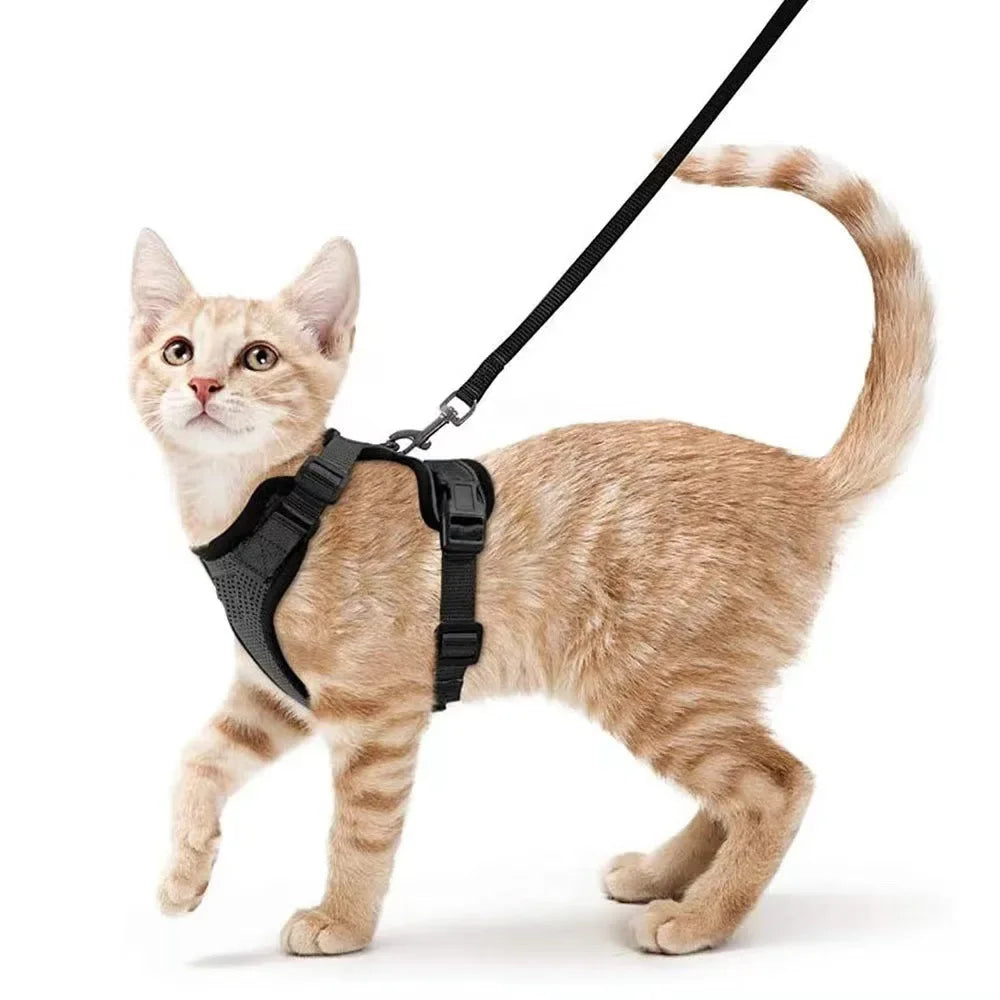 Escape-Proof Cat Harness & Leash – Adjustable Vest with Reflective Strips