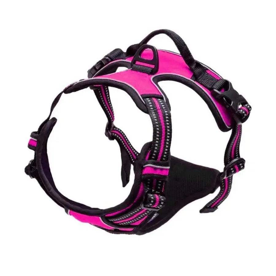 Leather Dog Collar & Harness Set – Adjustable for Small & Medium Dogs