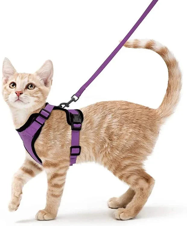 Escape-Proof Cat Harness & Leash – Adjustable Vest with Reflective Strips