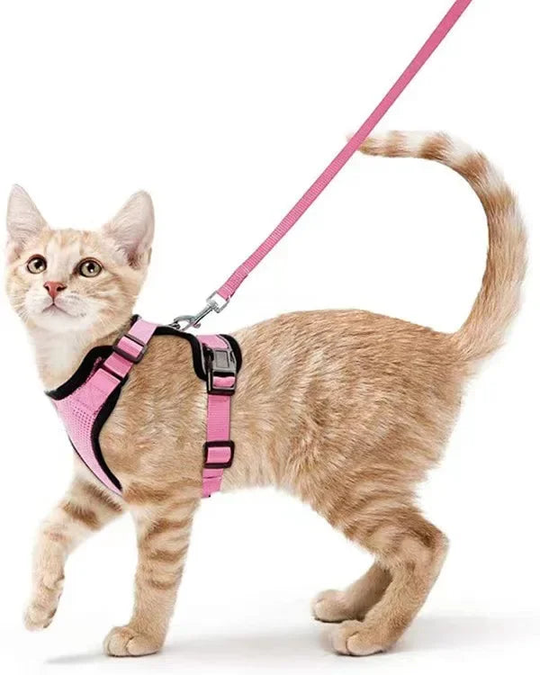 Escape-Proof Cat Harness & Leash – Adjustable Vest with Reflective Strips