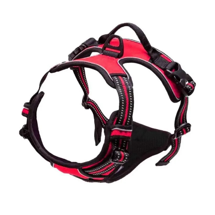 Leather Dog Collar & Harness Set – Adjustable for Small & Medium Dogs