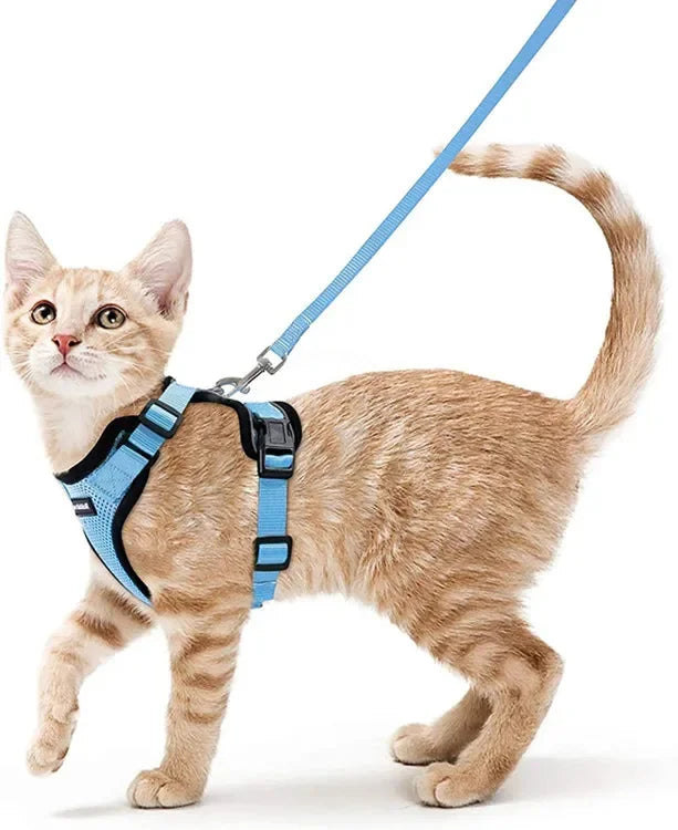 Escape-Proof Cat Harness & Leash – Adjustable Vest with Reflective Strips