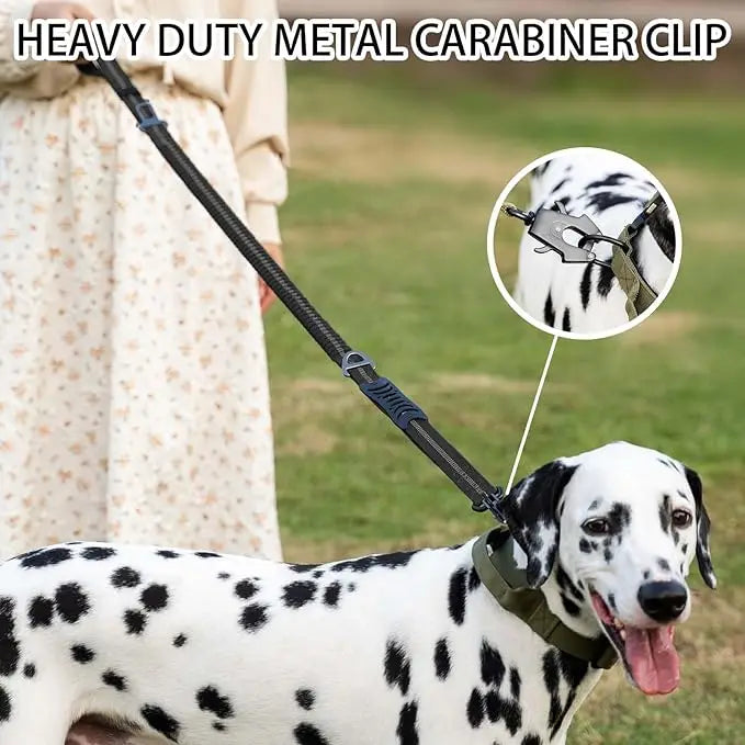 Shock-Absorbing Dog Leash – Heavy Duty No-Pull with Car Clip