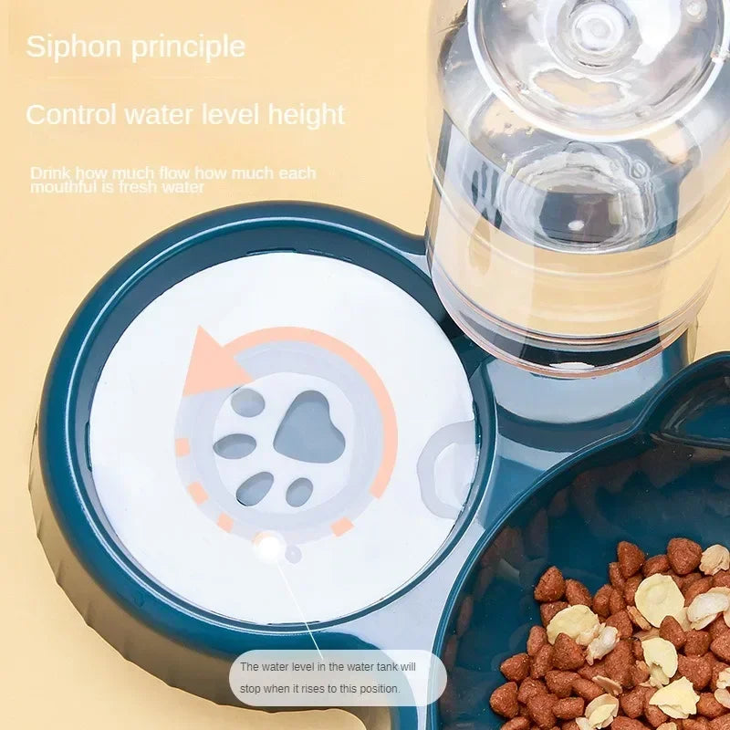 2-in-1 Cat Feeding Bowl – Dual Food & Water Bowls with Auto Water Dispenser