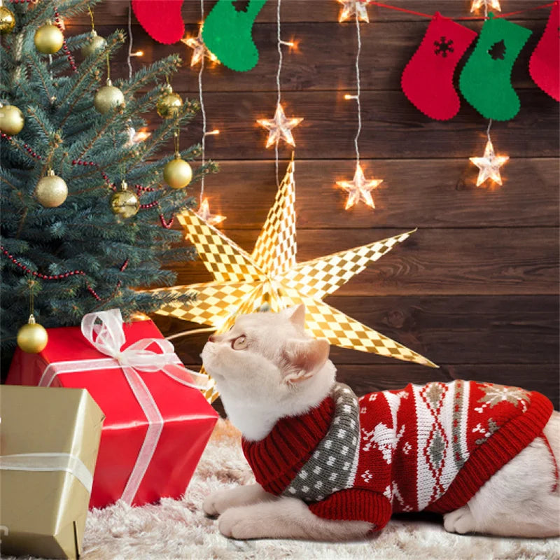 Cute Cat Sweater – Winter Warm Pullover for Sphynx & Other Breeds