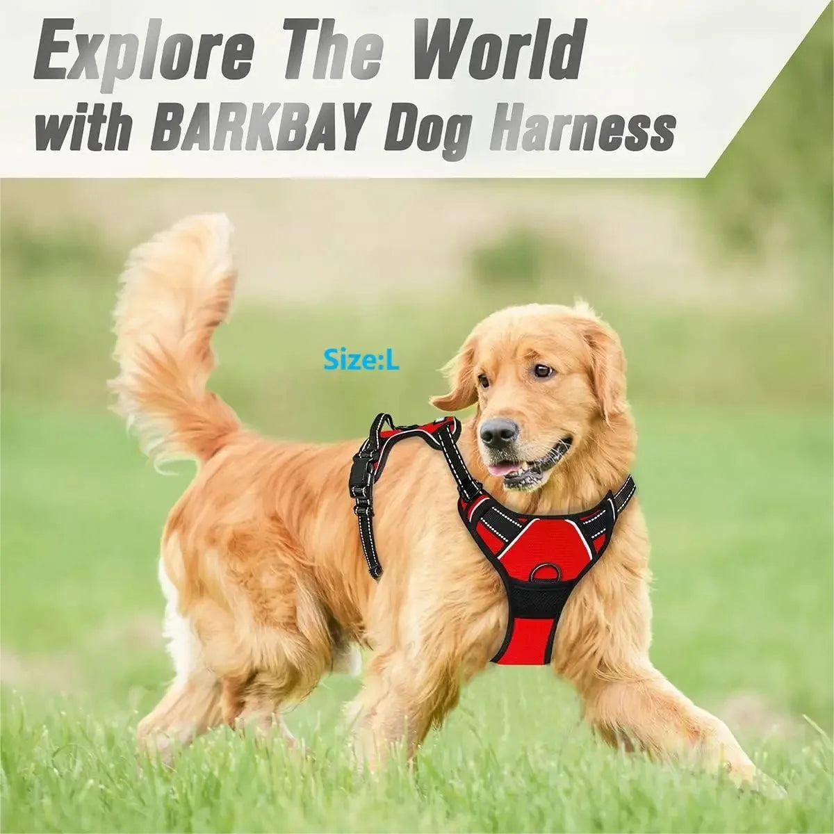 Leather Dog Collar & Harness Set – Adjustable for Small & Medium Dogs