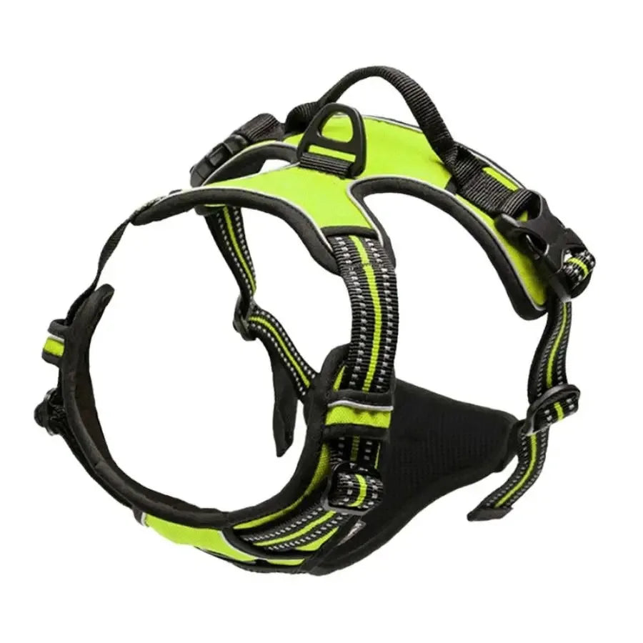 Leather Dog Collar & Harness Set – Adjustable for Small & Medium Dogs