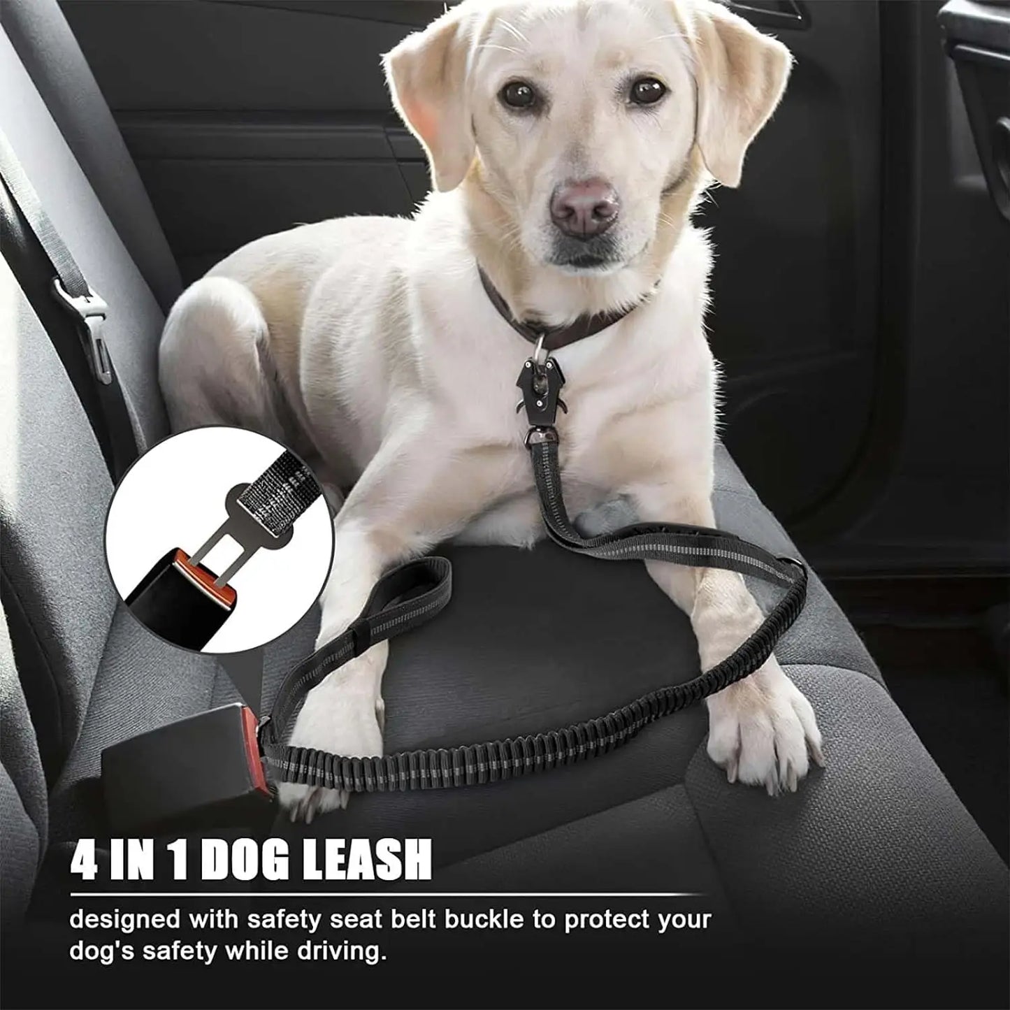 Shock-Absorbing Dog Leash – Heavy Duty No-Pull with Car Clip