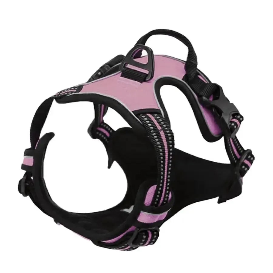 Leather Dog Collar & Harness Set – Adjustable for Small & Medium Dogs