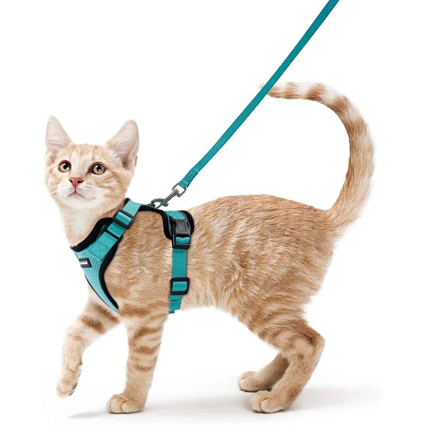 Escape-Proof Cat Harness & Leash – Adjustable Vest with Reflective Strips