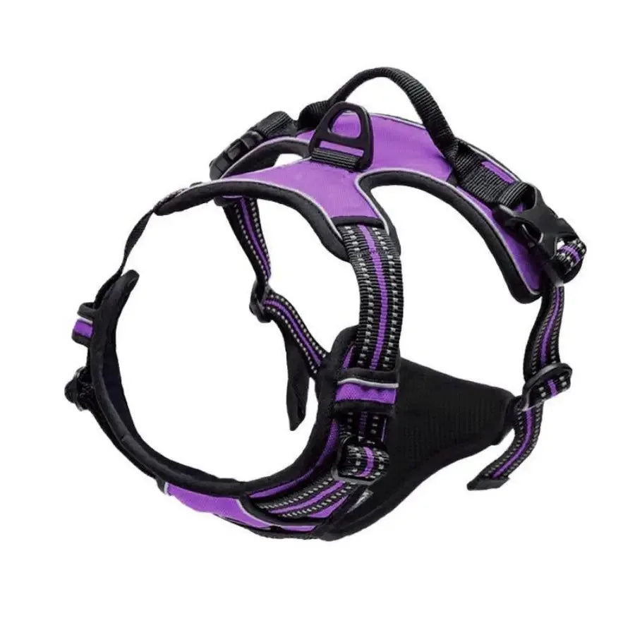 Leather Dog Collar & Harness Set – Adjustable for Small & Medium Dogs