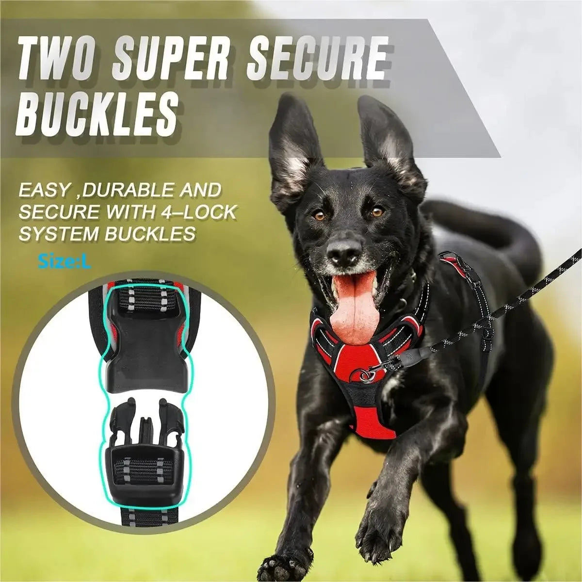 Leather Dog Collar & Harness Set – Adjustable for Small & Medium Dogs