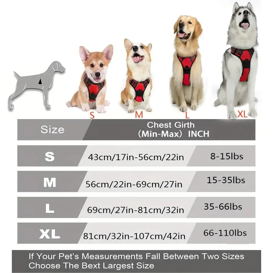 Leather Dog Collar & Harness Set – Adjustable for Small & Medium Dogs