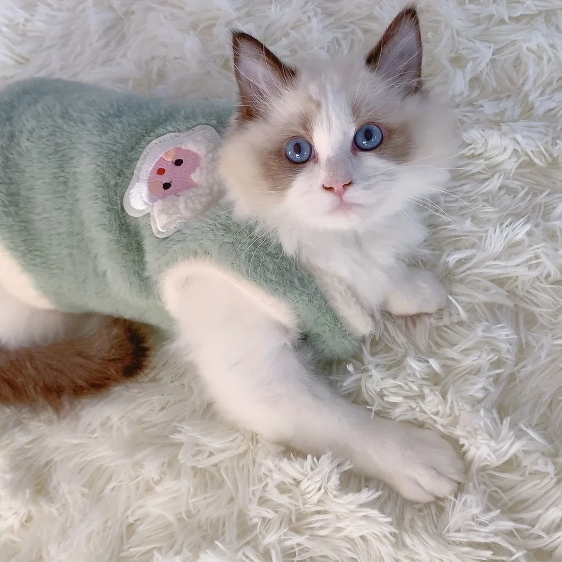 Warm Winter Kitten Clothes – Cozy Apparel for Cats & Small Pets