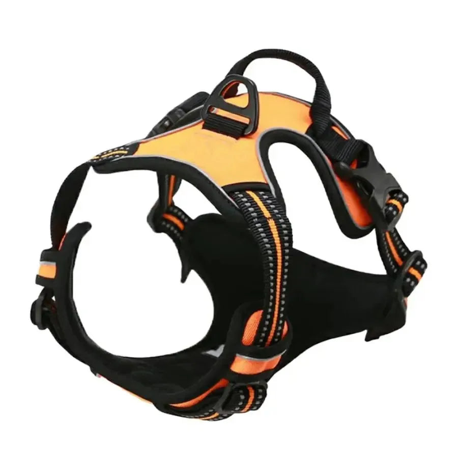 Leather Dog Collar & Harness Set – Adjustable for Small & Medium Dogs