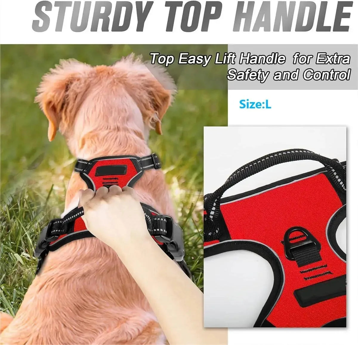 Leather Dog Collar & Harness Set – Adjustable for Small & Medium Dogs