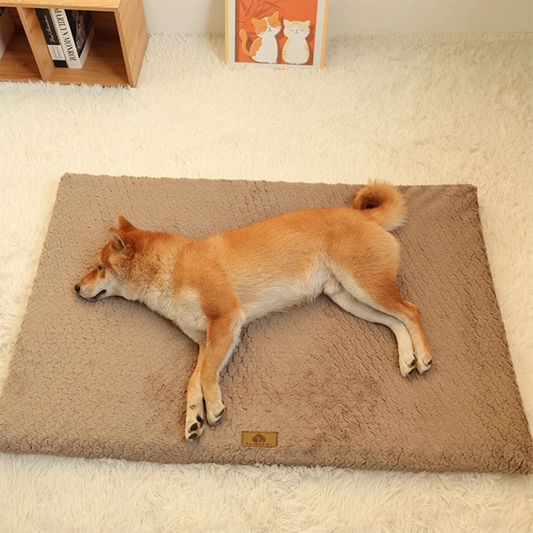 Orthopedic Memory Foam Dog Bed – Waterproof & Washable Cover
