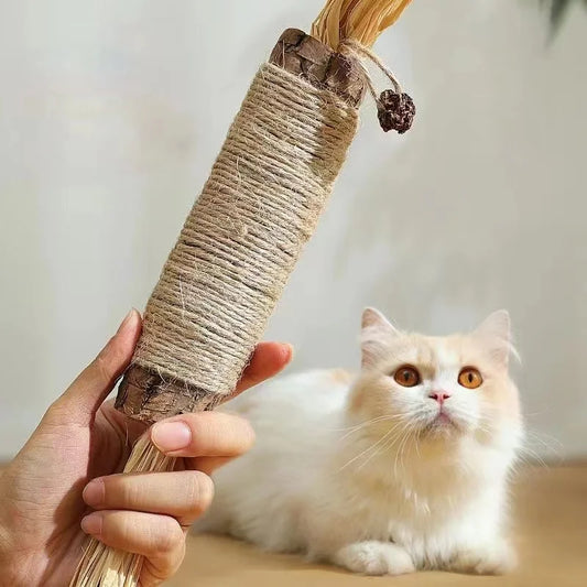 Natural Catnip Sticks – Matatabi Silvervine Chew Toys for Dental Care